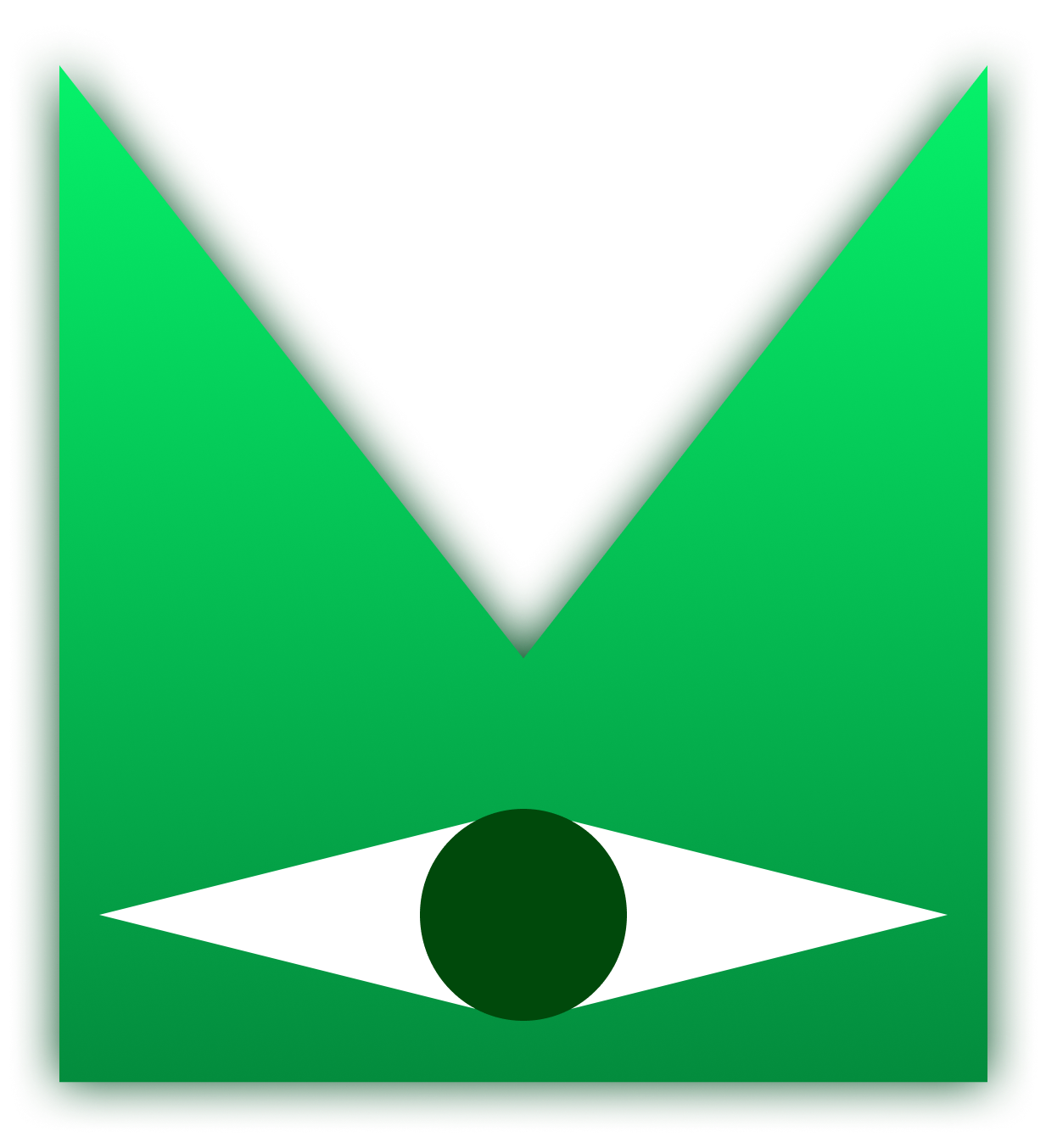 Vizor